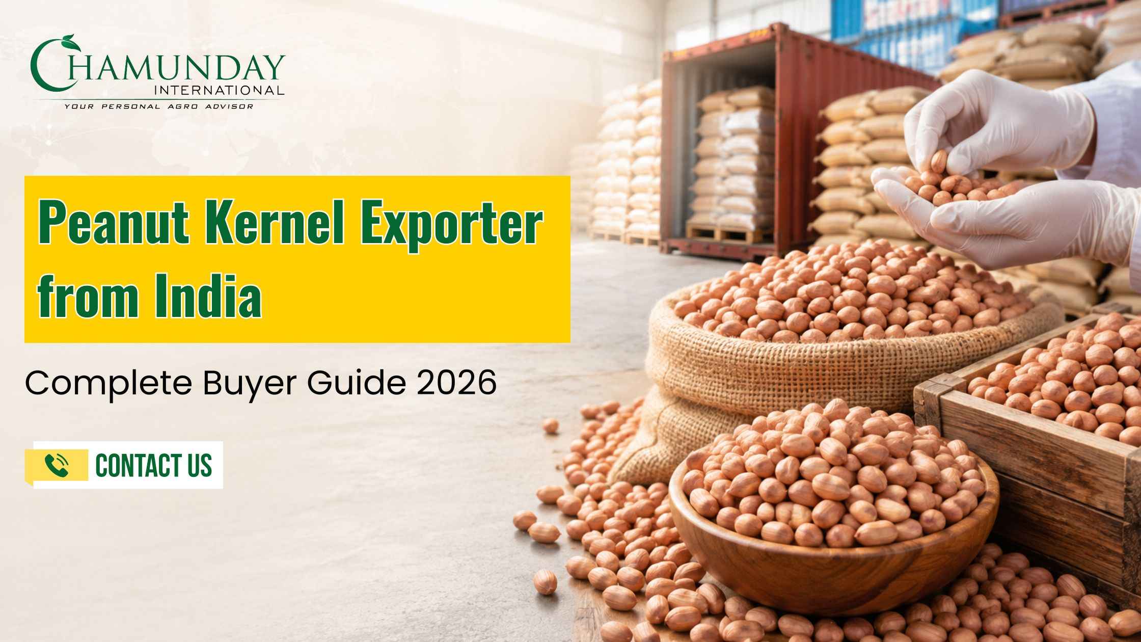 Peanut Kernel Exporter from India: Complete Buyer Guide 2026 | Chamunday International